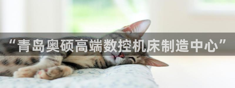 天辰娱乐 18113