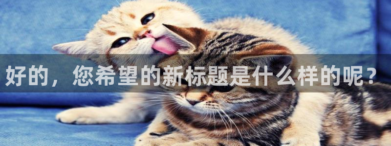 天辰娱乐总管年薪