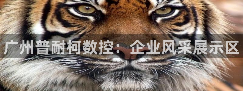 天辰娱乐在线登录注册