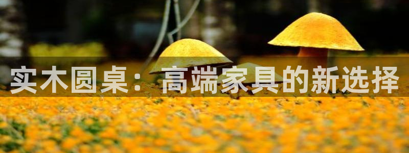 天辰娱乐文案