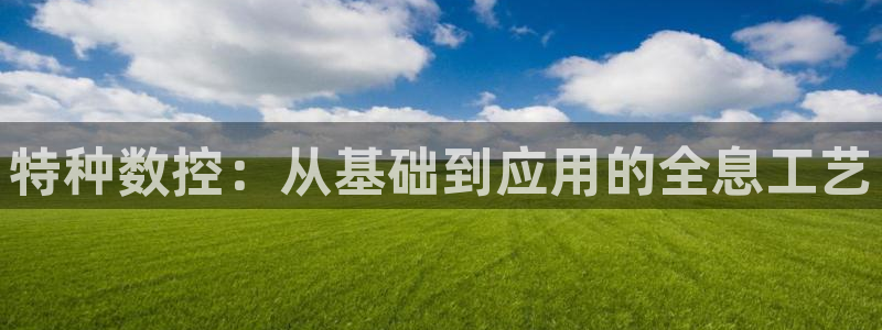 天辰娱乐 . 鱼刺