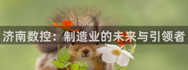 菲律宾天辰娱乐
