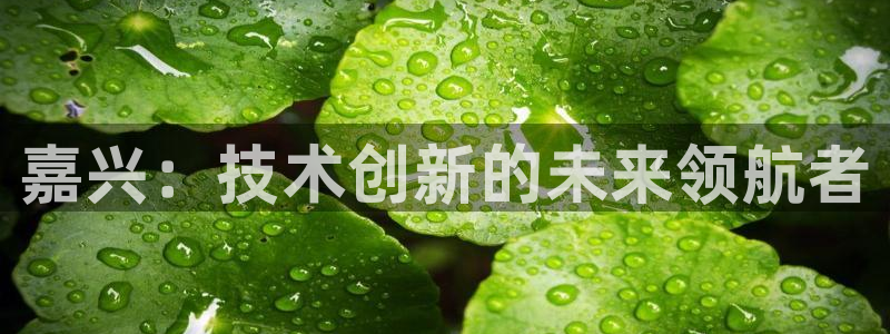 天辰娱乐输了