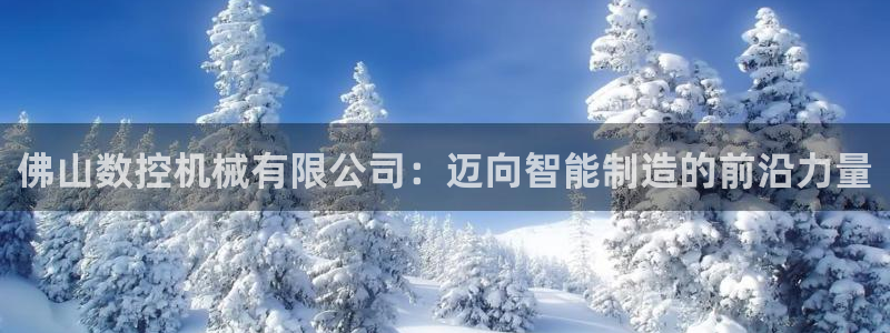 辰天娱乐用品