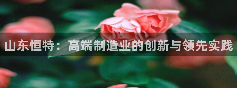 深圳天辰娱乐