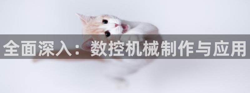天辰娱乐软件