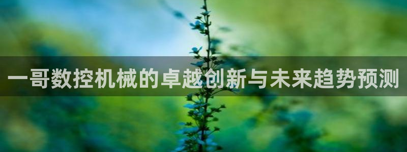 天辰娱乐咋样