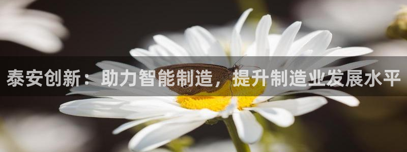天辰娱乐所