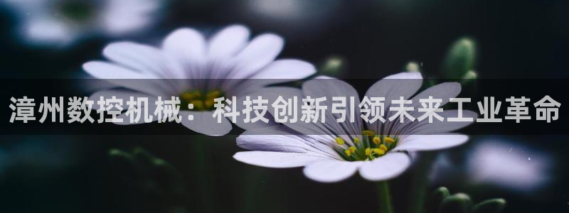 天辰娱乐海洋