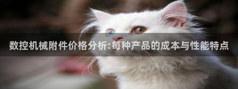 天辰娱乐1980