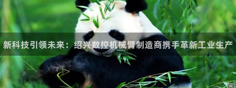 天辰娱乐新