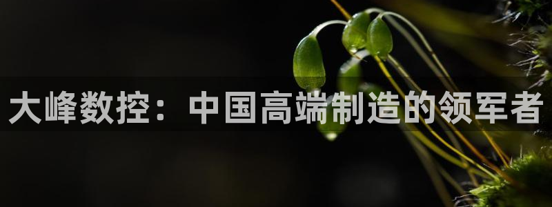 南充天辰娱乐