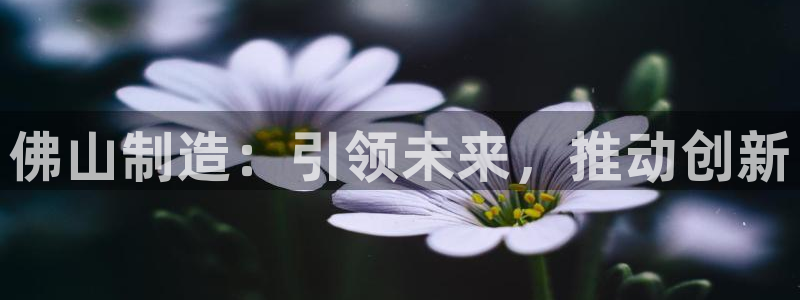 天辰娱乐APP下载