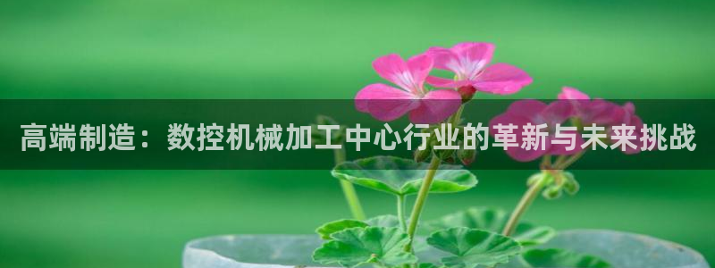 天辰娱乐论坛