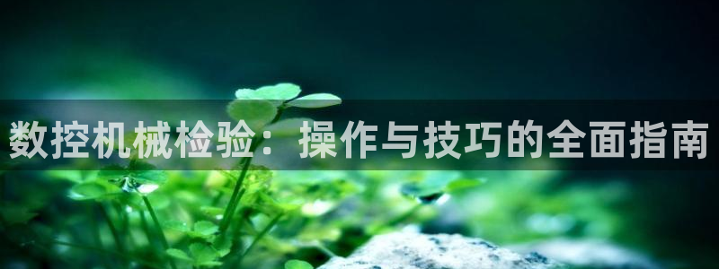 天辰娱乐1966