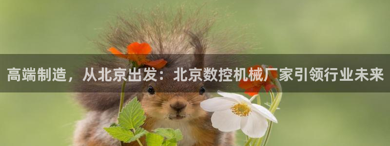 天辰娱乐44616