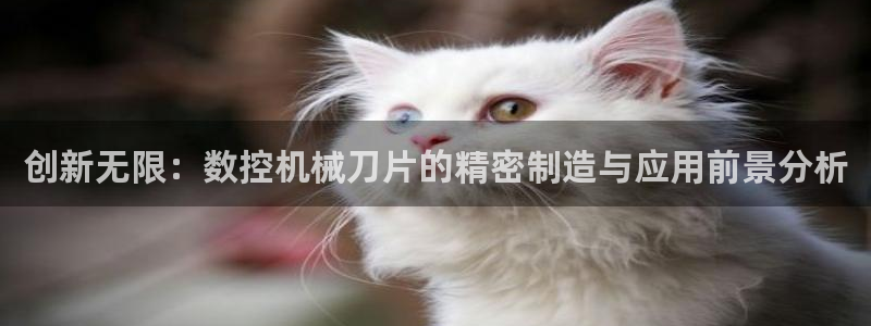 深圳天辰娱乐