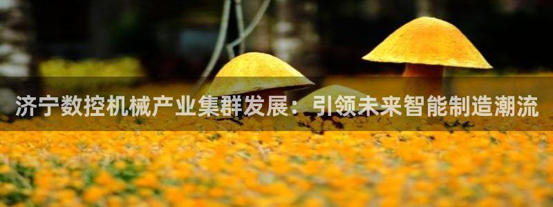 天辰娱乐公司