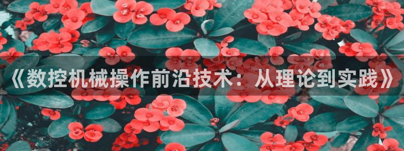 天辰娱乐84566