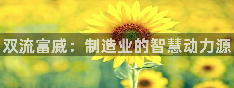天辰娱乐44616
