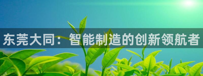 天辰娱乐557696