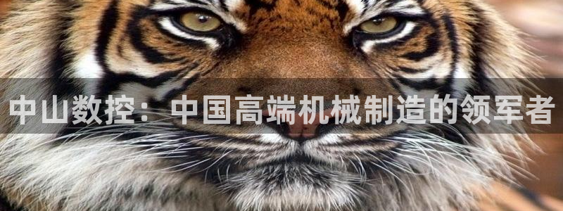 天辰娱乐直属