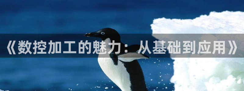 天辰娱乐内部