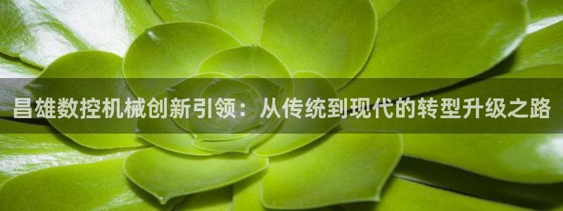 天辰娱乐1966