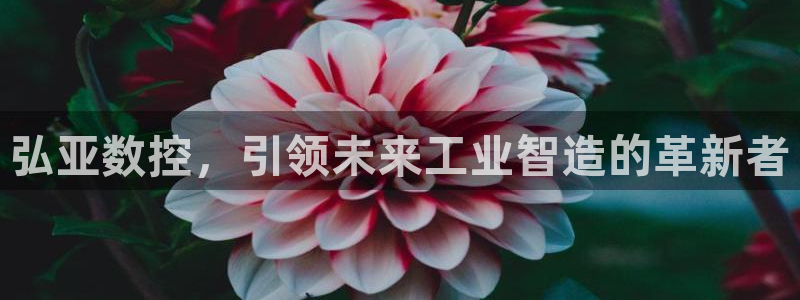 天辰娱乐 728567