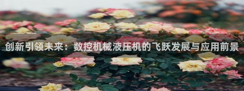 天辰娱乐22650