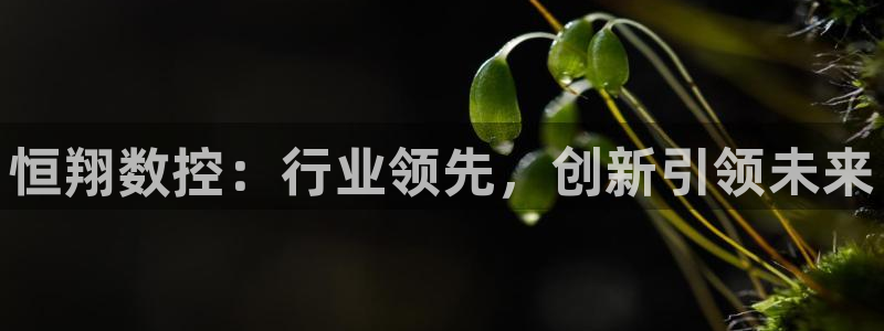 天辰娱乐-q