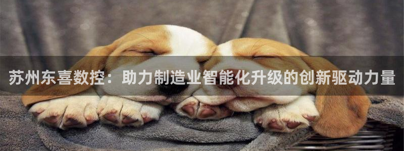 天辰娱乐直属