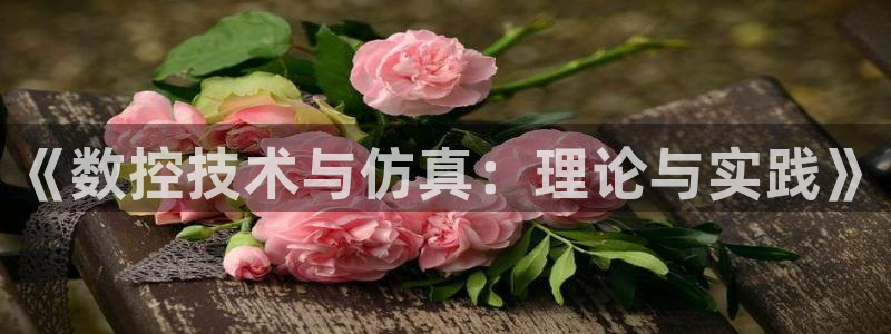 天辰娱乐481928