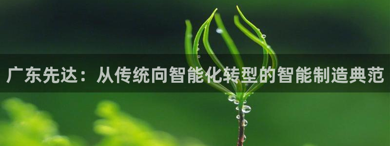 天辰娱乐视频