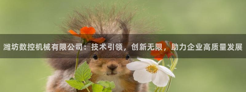 天辰娱乐台湾