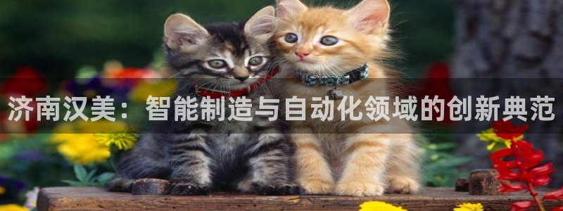 天辰娱乐线路