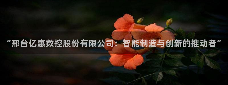 天富天辰娱乐