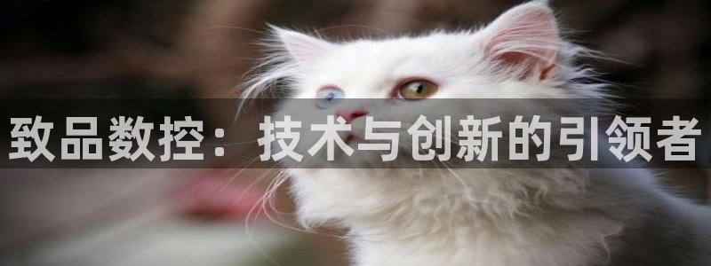 天辰娱乐测试