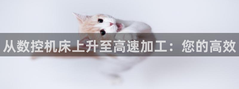 天辰娱乐反水