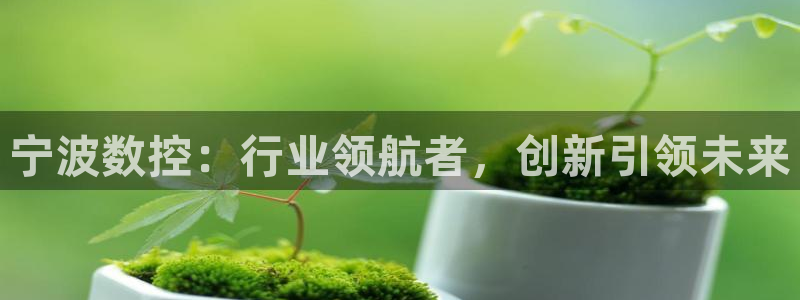 天辰娱乐 849852