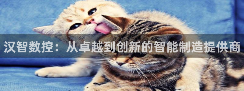 天富娱乐天辰娱乐