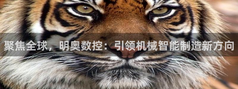 天辰娱乐游客