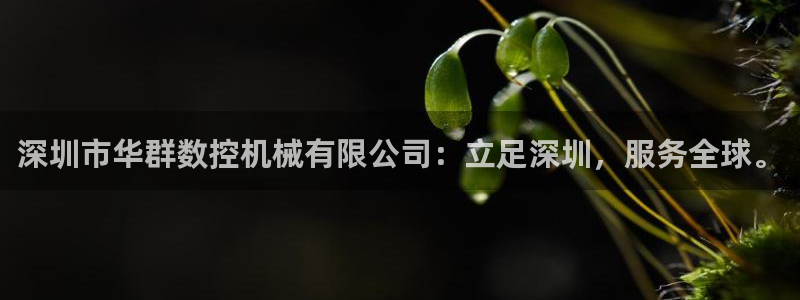 天辰娱乐黑人