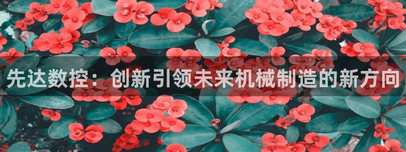 天辰娱乐675138