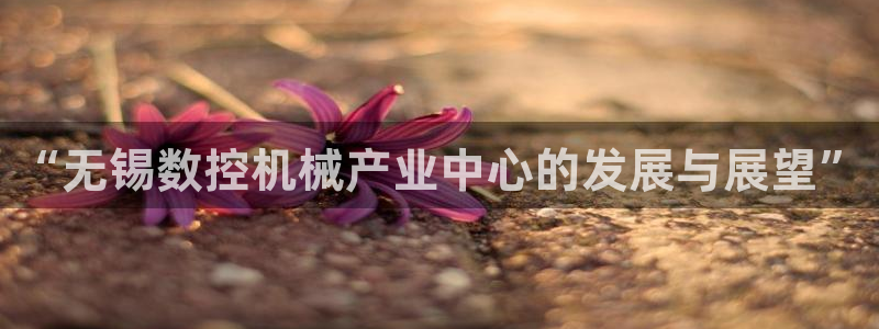 天辰娱乐 主管