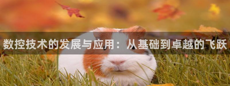 天辰娱乐平台安全吗
