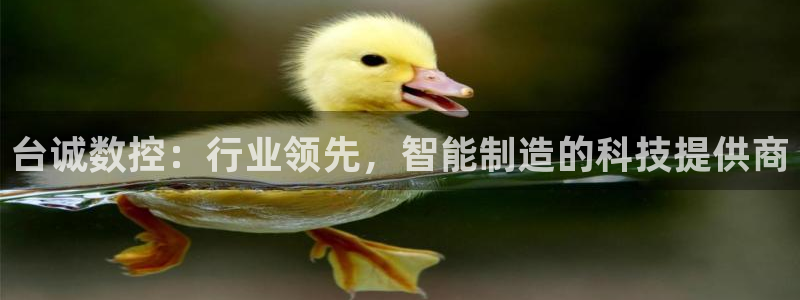 天辰娱乐解封