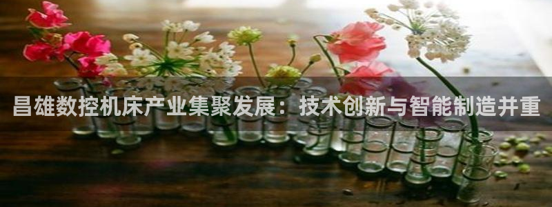 天辰娱乐会员