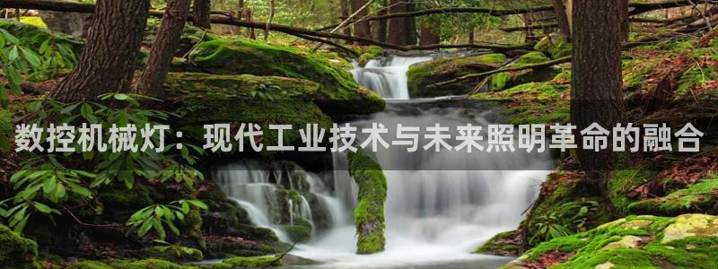 天辰娱乐游客