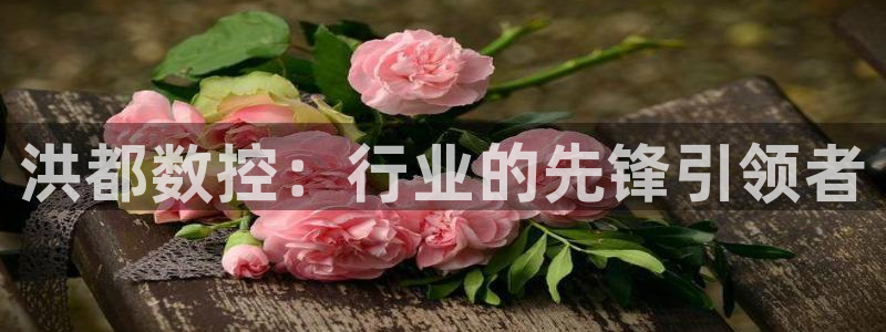 天辰娱乐的网址首页